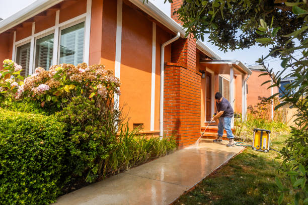 Best Pressure Washing Near Me  in Lake Waccamaw, NC